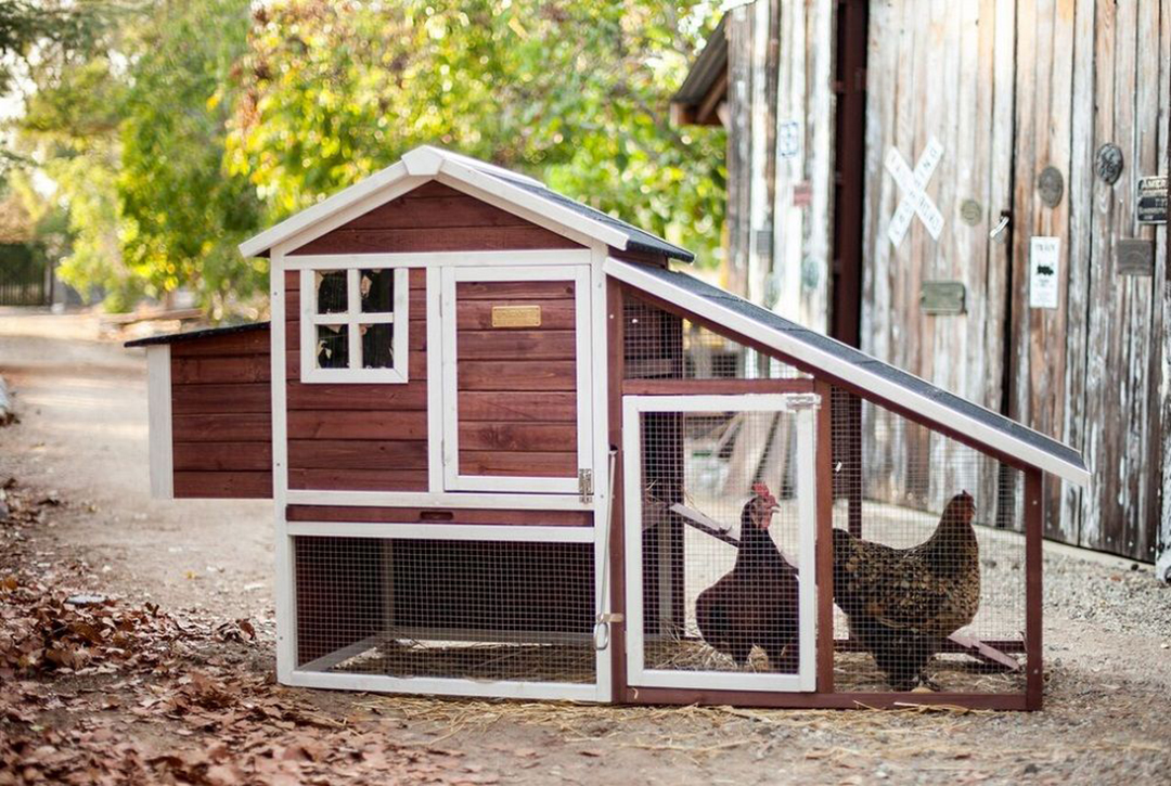 MBS Omaha, a div. of Omaha Distributing Co., Inc The Farm House Chicken Coop